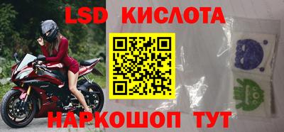 spice Гатчина