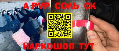 spice Гатчина