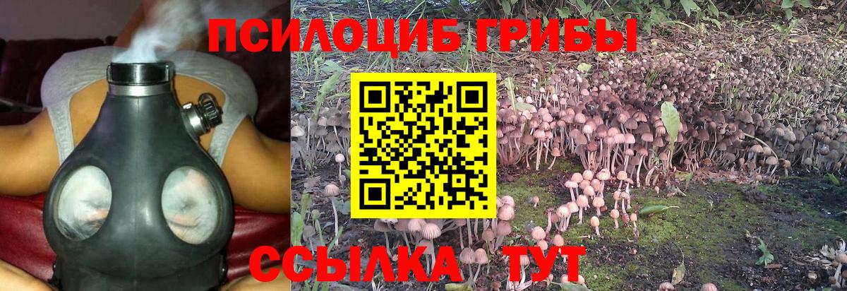 Псилоцибиновые грибы прущие грибы Жуковский