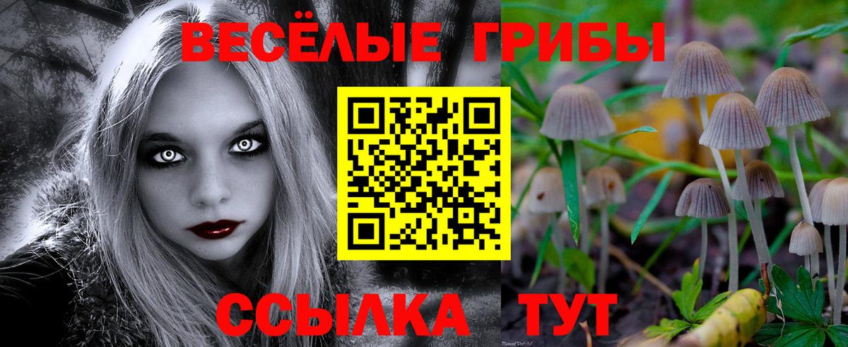 Жуковский  Псилоцибиновые грибы Psilocybe  Вход с VPN 