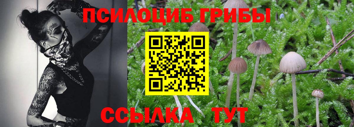 Галлюциногенные грибы MAGIC MUSHROOMS  Галлюциногенные грибы MAGIC MUSHROOMS  Жуковский 