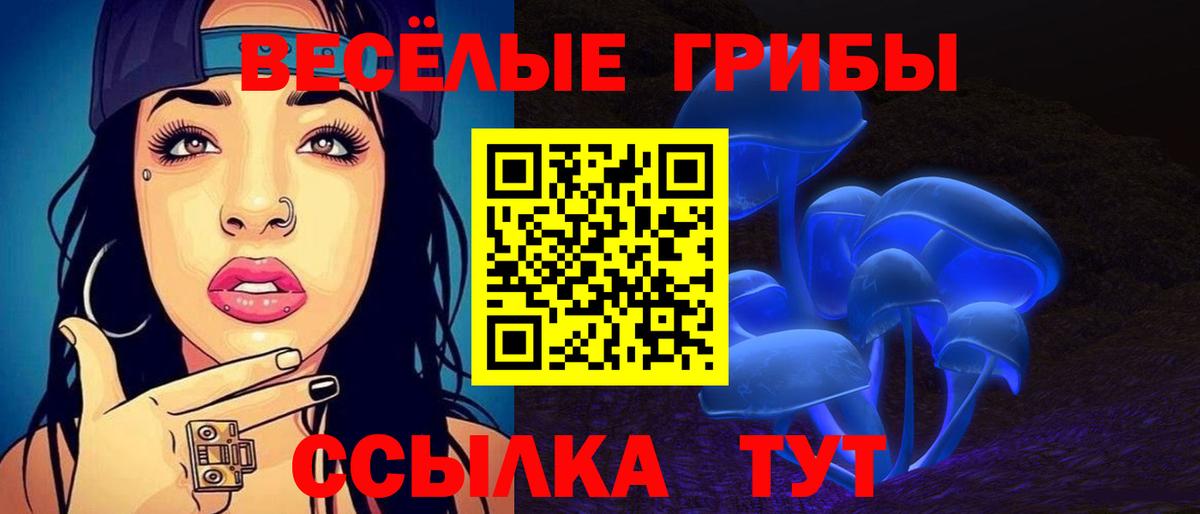 Галлюциногенные грибы Cubensis  Жуковский 